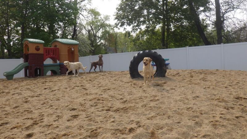 Village Sentry Pet Care LLC - Hollis, NH