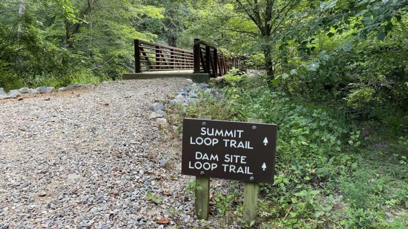 Medoc Mountain Picnic Area & Trailhead - Hollister, NC