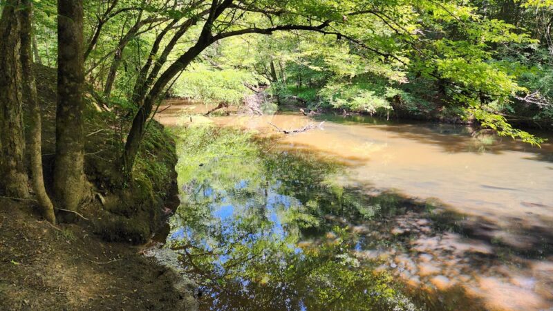 Medoc Mountain Picnic Area & Trailhead - Hollister, NC