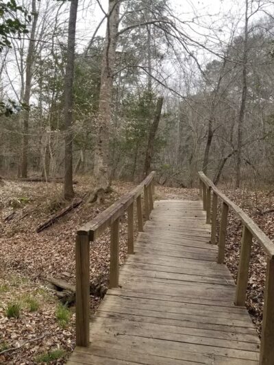 Medoc Mountain State Park - Hollister, NC