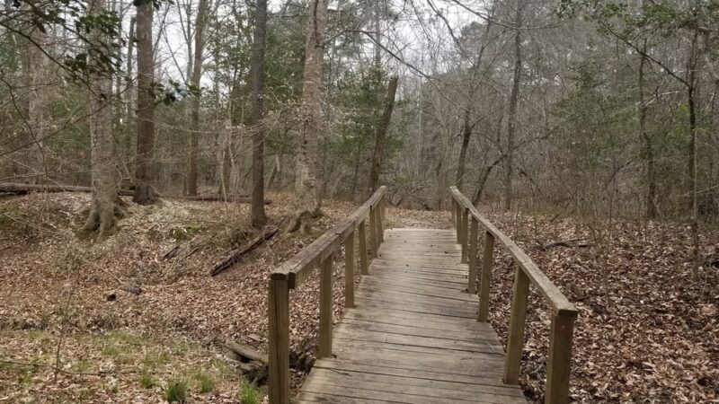 Medoc Mountain State Park - Hollister, NC