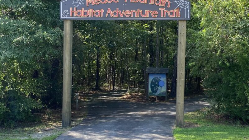 Medoc Mountain State Park - Hollister, NC