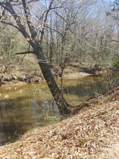 Medoc Mountain State Park - Hollister, NC