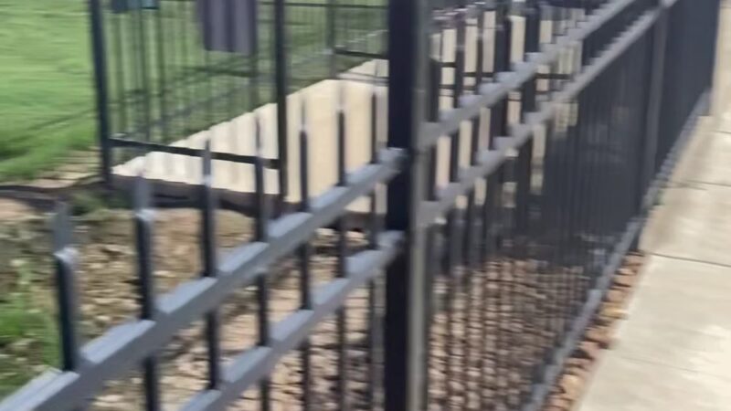 Dog Park at Love's Travel Stops - Holly Springs, MS