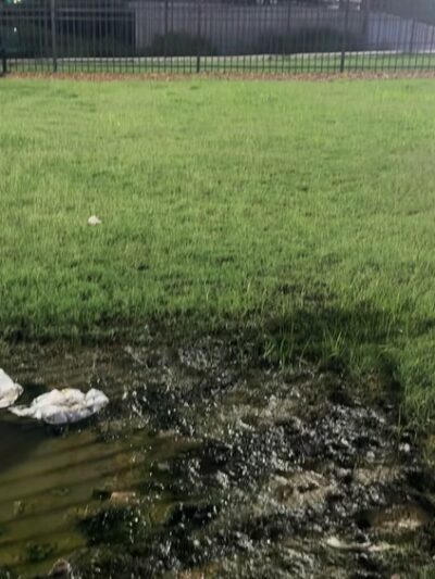 Dog Park at Love's Travel Stops - Holly Springs, MS