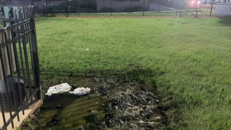 Dog Park at Love's Travel Stops - Holly Springs, MS