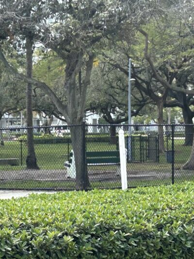 Dog park Young Park - Hollywood, FL