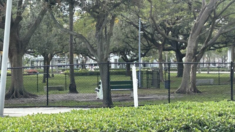 Dog park Young Park - Hollywood, FL
