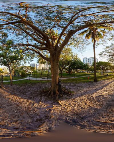 Dog park Young Park - Hollywood, FL