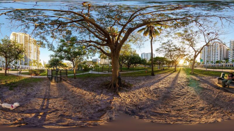 Dog park Young Park - Hollywood, FL