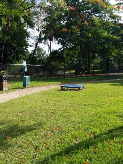 Hollywoof Dog Park - Hollywood, FL
