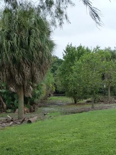 Hollywoof Dog Park - Hollywood, FL