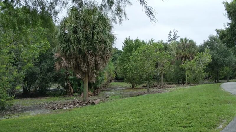 Hollywoof Dog Park - Hollywood, FL