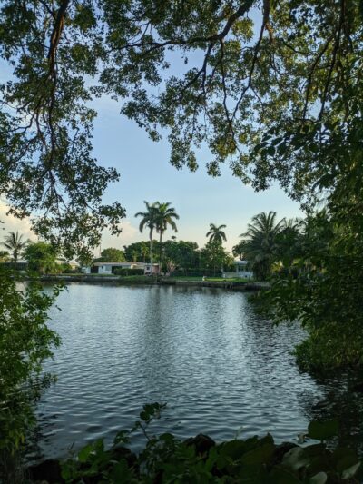 Hollywoof Dog Park - Hollywood, FL