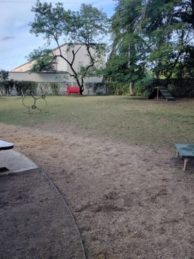 Hollywoof Dog Park - Hollywood, FL