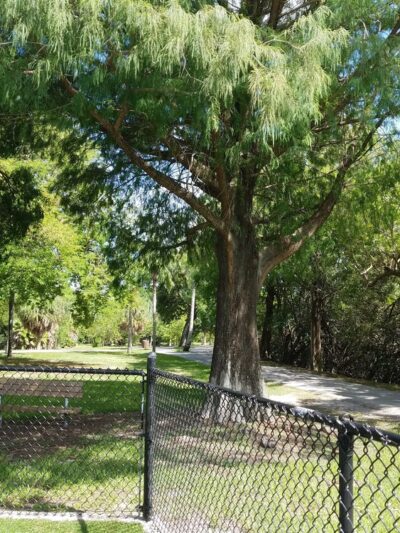 Hollywoof Dog Park - Hollywood, FL