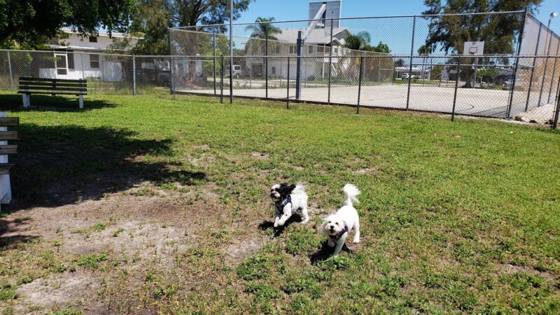 Scentral park dog Park - Holmes Beach, FL