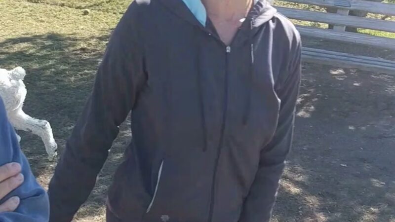 Scentral park dog Park - Holmes Beach, FL