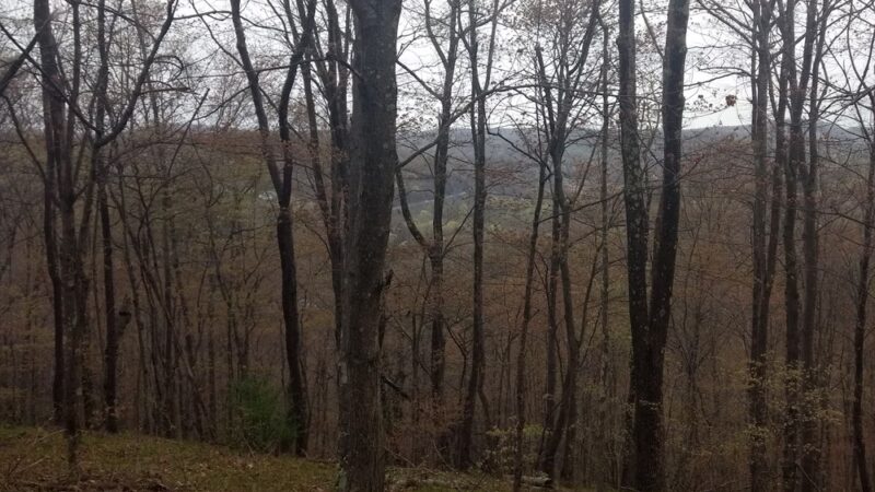 Wonder Lake State Park Hiking Trails - Holmes, NY