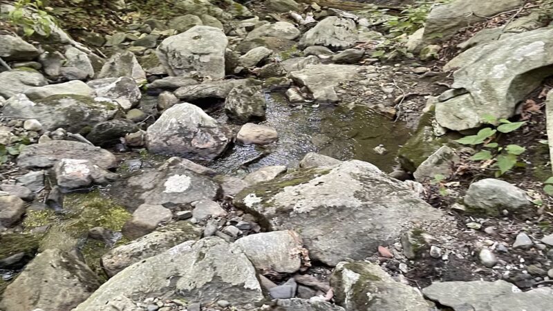 Wonder Lake State Park Hiking Trails - Holmes, NY