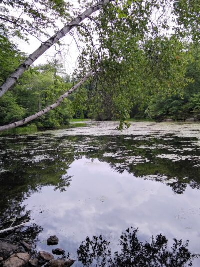 Wonder Lake State Park Hiking Trails - Holmes, NY