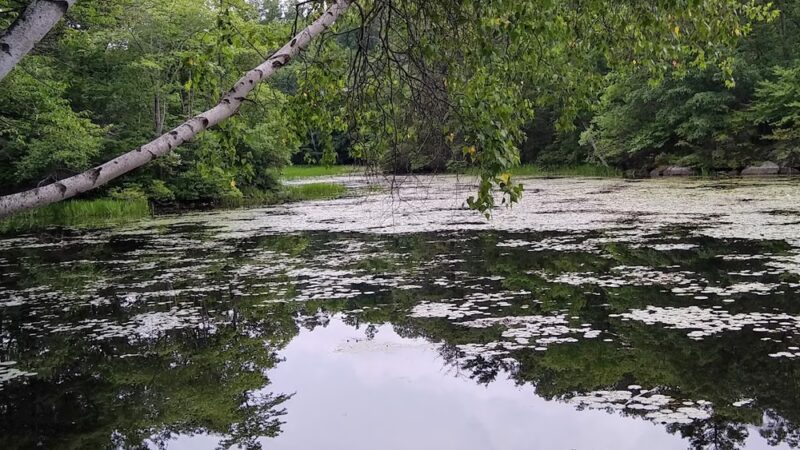 Wonder Lake State Park Hiking Trails - Holmes, NY