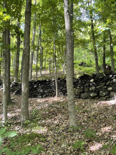 Wonder Lake State Park Hiking Trails - Holmes, NY