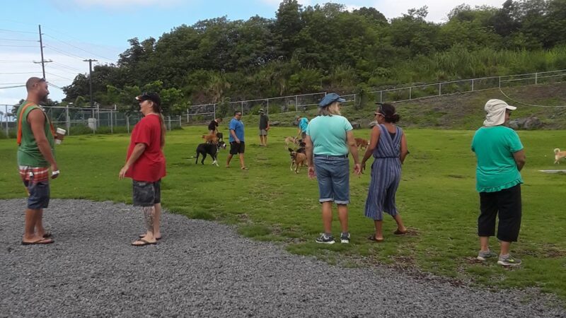 Kona Dog park - Holualoa, HI