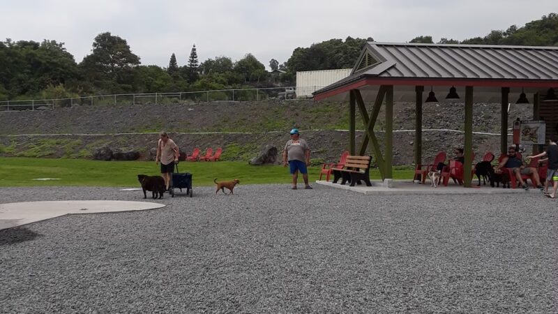 Kona Dog park - Holualoa, HI