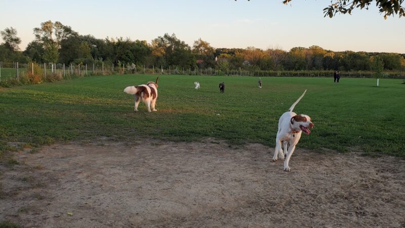 Trantina Farms Dog Park - Homer Glen, IL