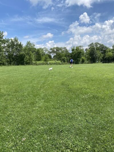 Trantina Farms Dog Park - Homer Glen, IL