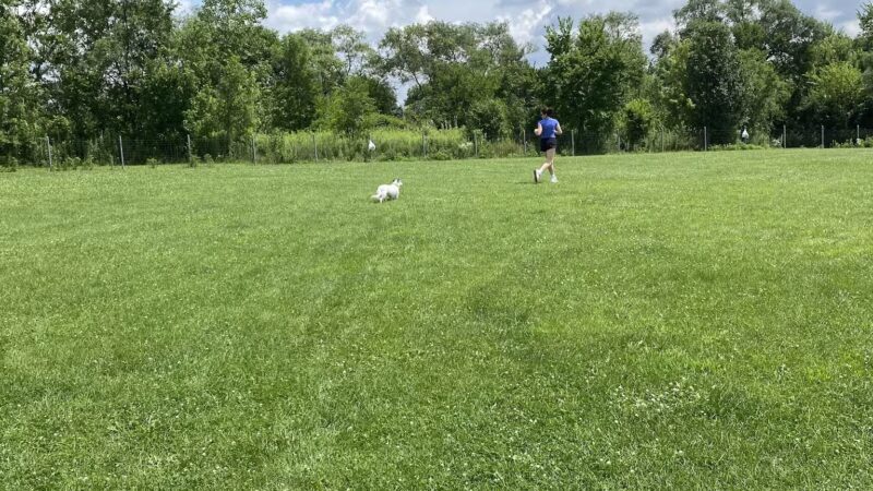 Trantina Farms Dog Park - Homer Glen, IL