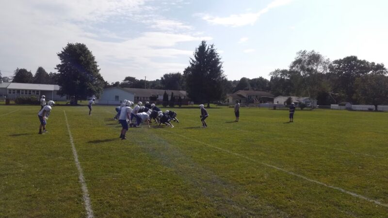 Harry A. Calale Park - Homer, NY