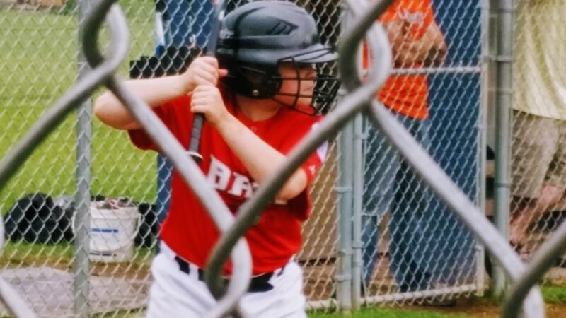 Harry A. Calale Park - Homer, NY