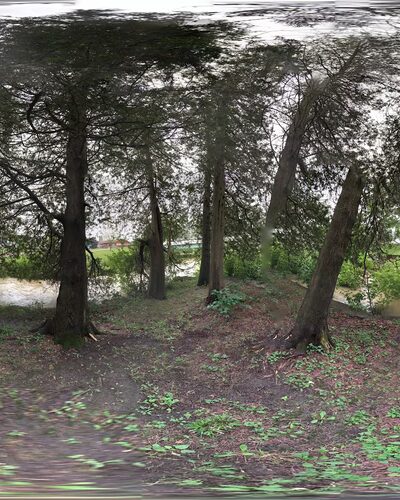 Harry A. Calale Park - Homer, NY