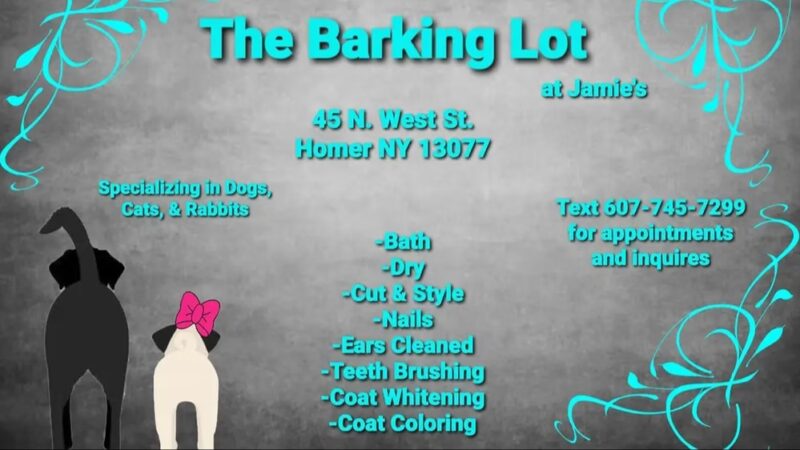 The Barking Lot - Homer, NY
