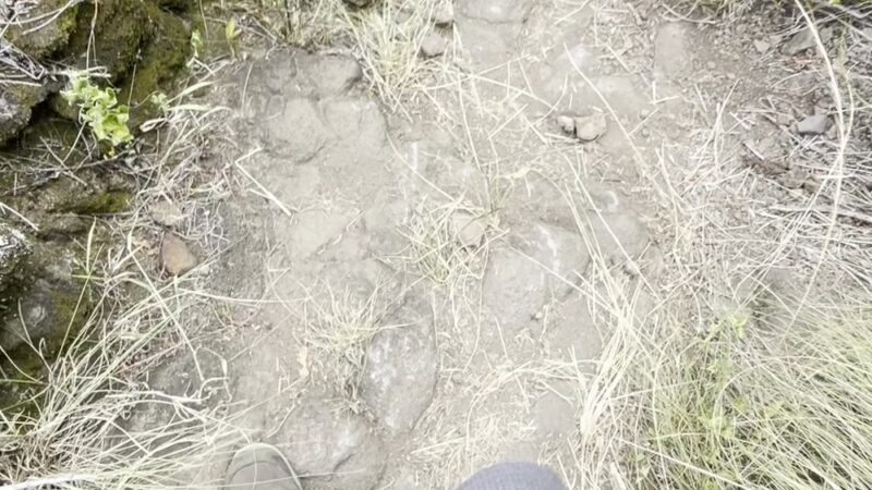 Muliwai Trail - Honokaa, HI