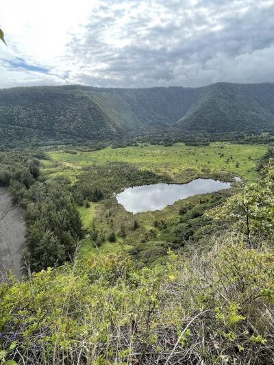 Muliwai Trail - Honokaa, HI