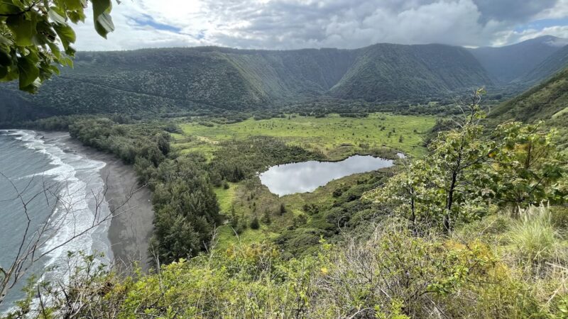 Muliwai Trail - Honokaa, HI