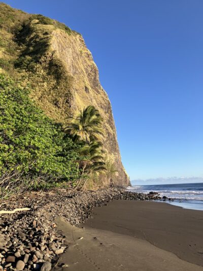 Muliwai Trail - Honokaa, HI