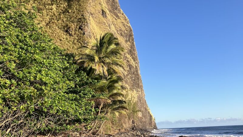 Muliwai Trail - Honokaa, HI