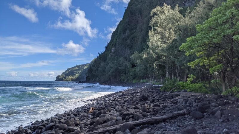 Muliwai Trail - Honokaa, HI