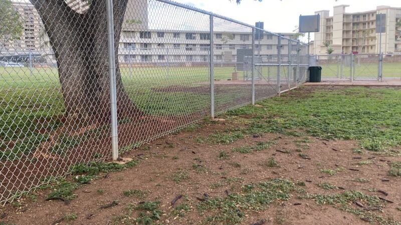 Hoa Aloha Neighborhood Park - Honolulu, HI