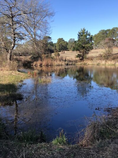 Golfview Greenway Walking Trail - Hope Mills, NC