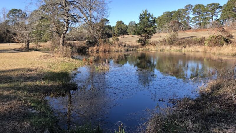 Golfview Greenway Walking Trail - Hope Mills, NC