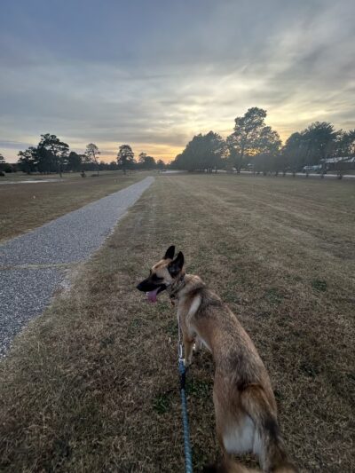 Golfview Greenway Walking Trail - Hope Mills, NC