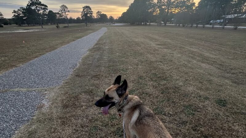 Golfview Greenway Walking Trail - Hope Mills, NC