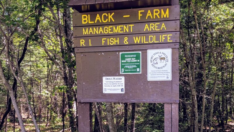 Black Farm State Management Area - Hope Valley, RI
