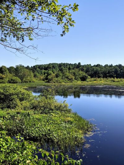 Black Farm State Management Area - Hope Valley, RI
