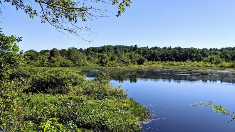Black Farm State Management Area - Hope Valley, RI
